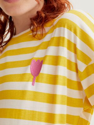 61C/42016 kitrini rige mployza compania fantastica me kentito sxedio toulipas